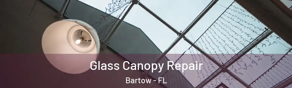 Glass Canopy Repair Bartow - FL