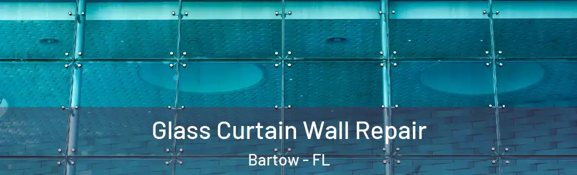 Glass Curtain Wall Repair Bartow - FL