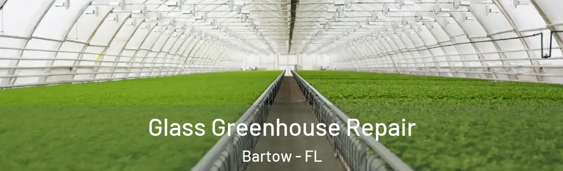 Glass Greenhouse Repair Bartow - FL
