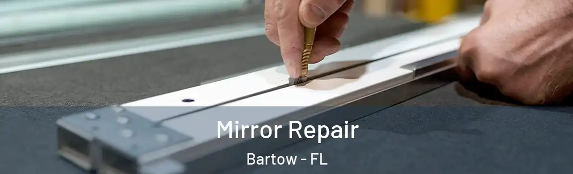 Mirror Repair Bartow - FL