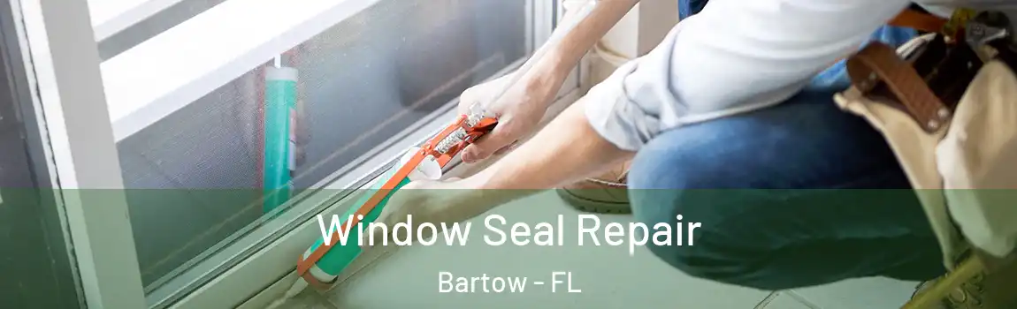 Window Seal Repair Bartow - FL